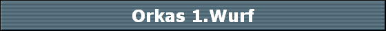 Orkas 1.Wurf